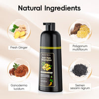 Black Hair Dye Shampoo, Black Hair Dye Shampoo 3-in-1 for Grey Hair, Instant Hair Colour Shampoo for Men and Women, Hair Colour Shampoo, Anti Grey Effect, 500 ml (Chestnut Brown)