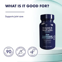 HIGHER NATURE Higher Nature - MSM Glucosamine Joint Complex - Vitamin C, Copper, Zinc & Botanical Complex Tablets for Women & Men - Vegetarian & Vegan - 90 Tablets