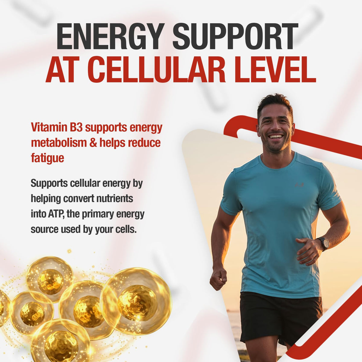 TUDIMO Vitamin B3 Niacinamide Supplement 500mg Flush Free Capsules - 200 High Strength Caps (6+ Month Supply), Each with 500 mg of Pure VIT B3 Nicotinamide 500mg Powder