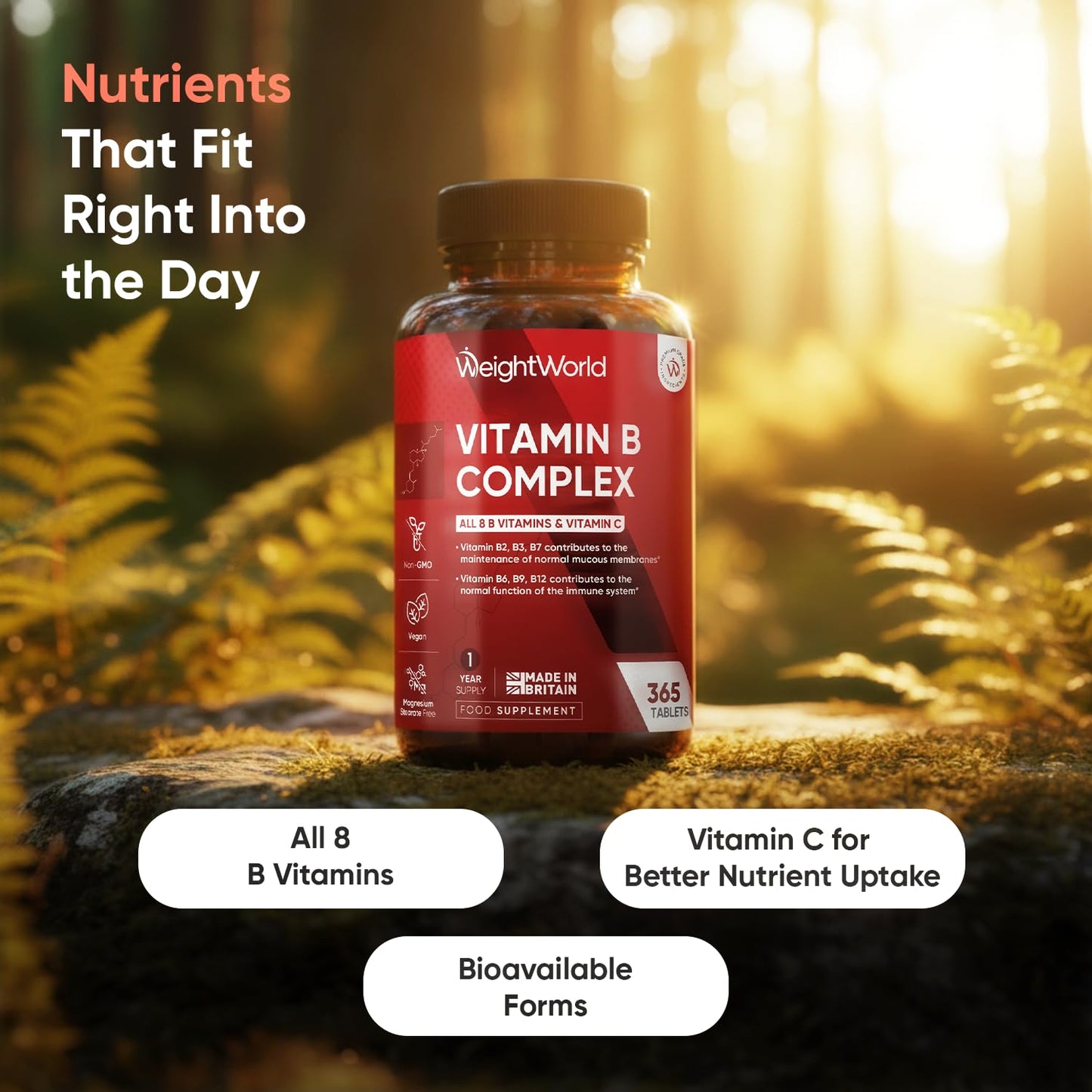 WeightWorld Vitamin B Complex Supplement - 365 Tablets - 1 Year Supply - with All 8 B Vitamins & VIT C - 1 Tablet-a-Day - Non-GMO, Gluten-Free & Vegan-Friendly - for Men & Women