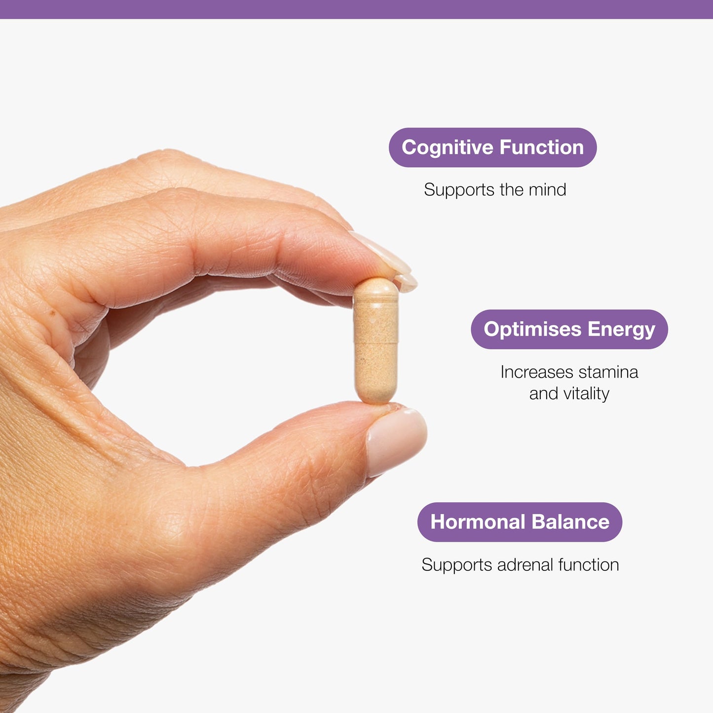 Metagenics Ashwagandha 500mg - Supports Mental Clarity and Hormone Balance - High-Strength Supplement - 60 Capsules