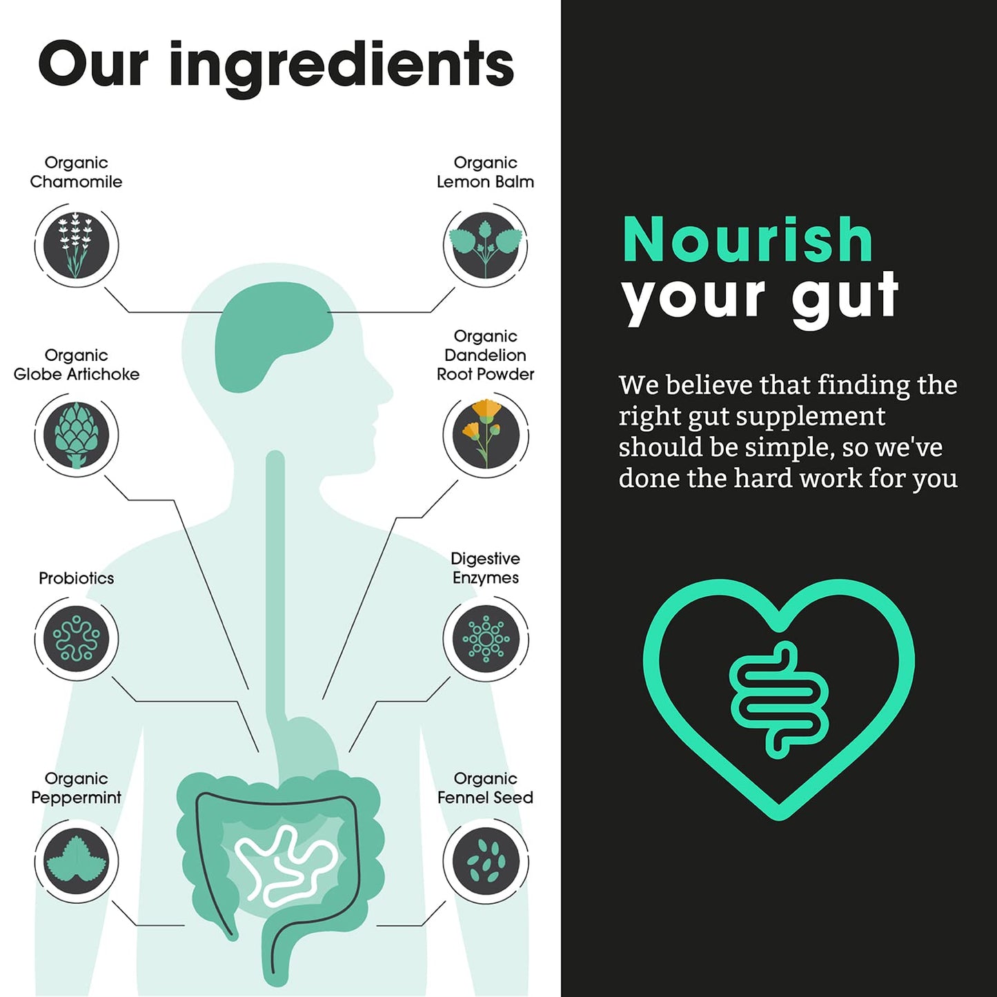 Feel Complete | Gut 3-in-1 | Premium Digestive Supplement | Probiotics & Digestive Enzymes & Prebiotics | Gut Health | Vegan | Made in The UK | 60 Capsules