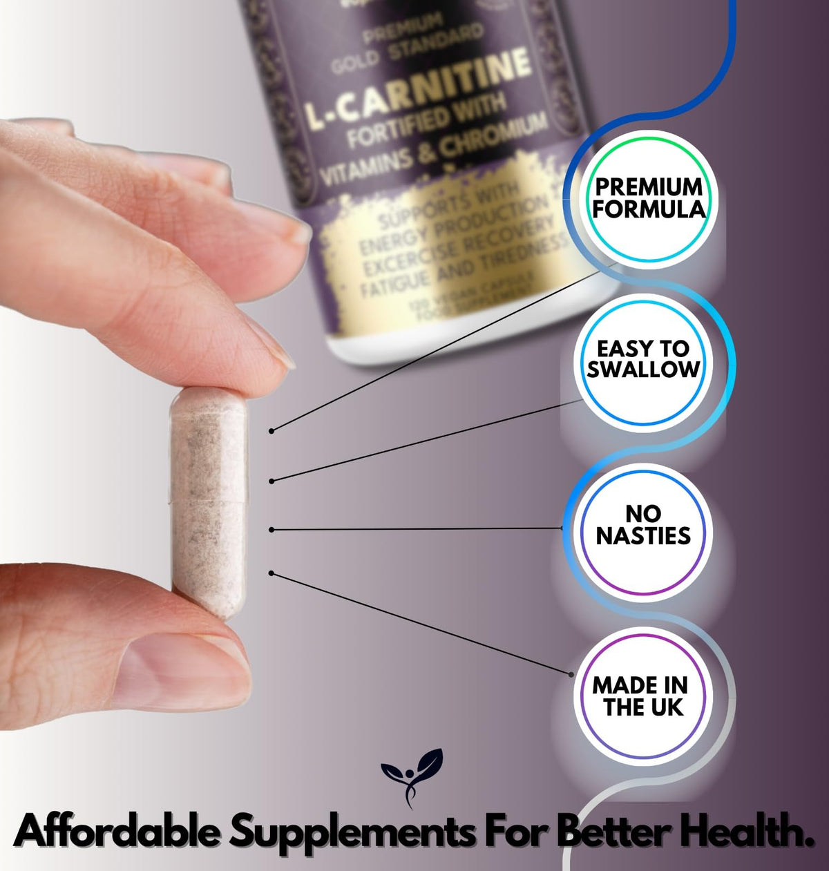 Euphoria Bliss L-Carnitine Capsules 3000mg - L-Carnitine Formula with Vitamins D & B - High Strength L-Carnitine Tartrate Supplement – 120 Vegan Tablets – Supports Energy, Metabolism, & Reduces Tiredness & Fatigue