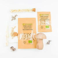 vegishake Organic Shiitake Mushroom HPMC Capsules polysaccharide terpenoid 600mg Vegan Halal Kosher (60 Capsules)