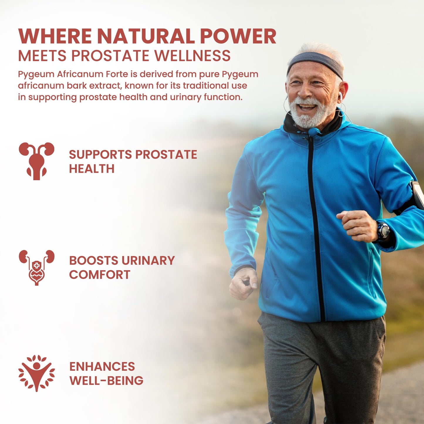 ALZURO LABS Alzuro Labs Pygeum Africanum | 5,000mg Equivalent | 250mg 20:1 Bark Extract (13% Phytosterols) | 120 Vegan Capsules | 4-Month Supply | Prunus africana | GMP & 3rd Party Lab Tested