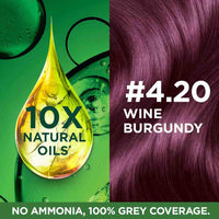 Garnier Color Naturals, Shade 4.20 Wine Burgundy 125 gm