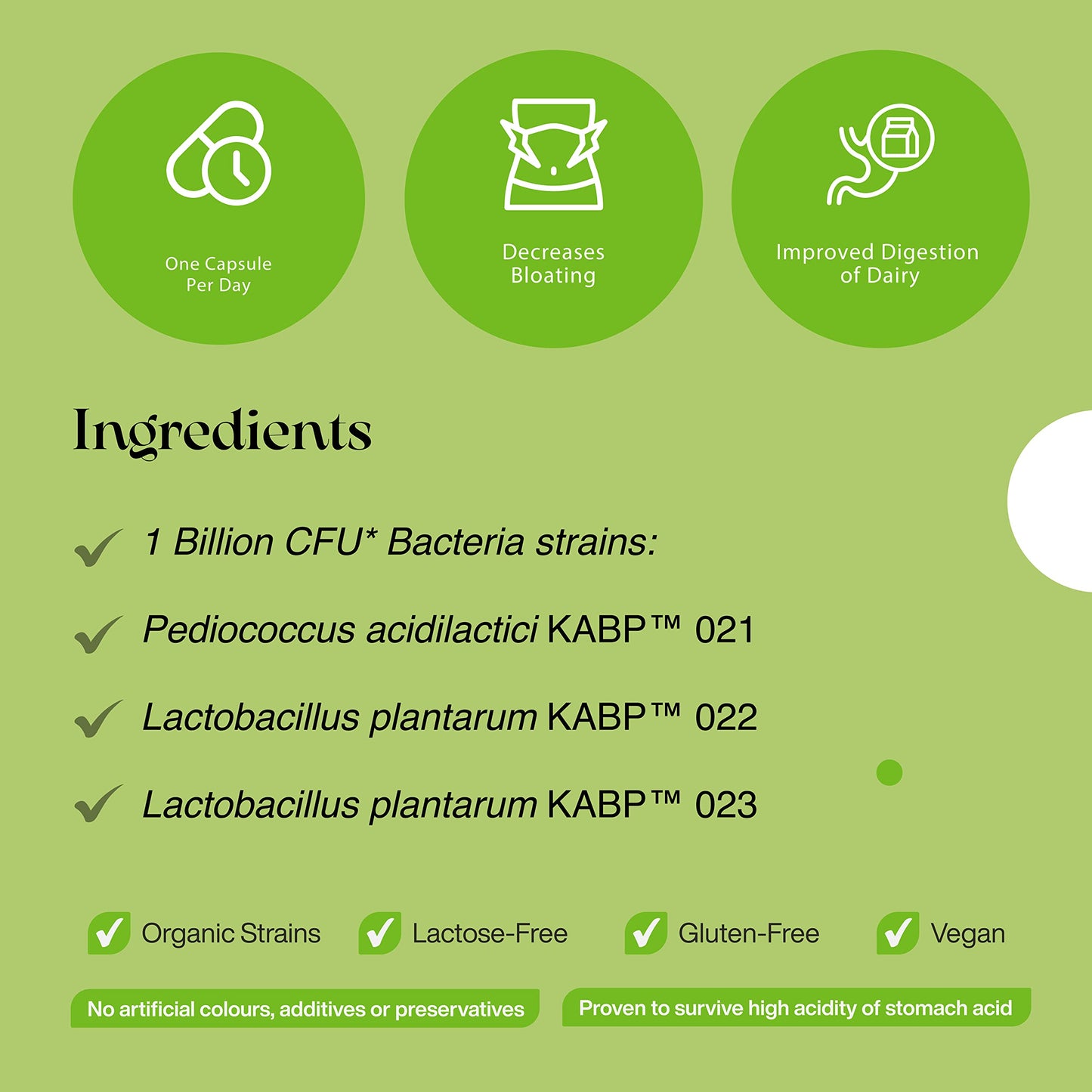 Floradapt Gut Support Probiotics for Bloating Relief, Improved Digestion & IBS Relief | Vegan & Certified Gut Health Supplement | Recommended by The WGO | (30 Day Supply)