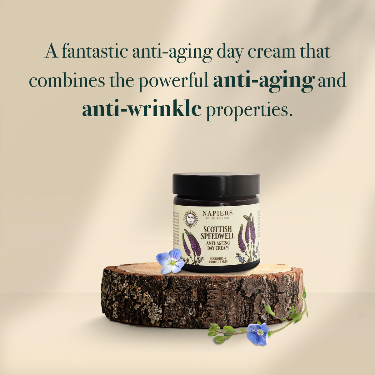 Napiers Speedwell Ageless Day Cream - Anti-Aging & Wrinkle Reduction with Scottish Speedwell & Organic Seaweed - 60ml
