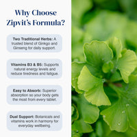 Zipvit Ginkgo Biloba 6000mg & Siberian Ginseng 600mg with Vitamins B3 & B5 Pouch, 120 Vegan Tablets, Supports Energy & Mental Performance, 4 Month Supply