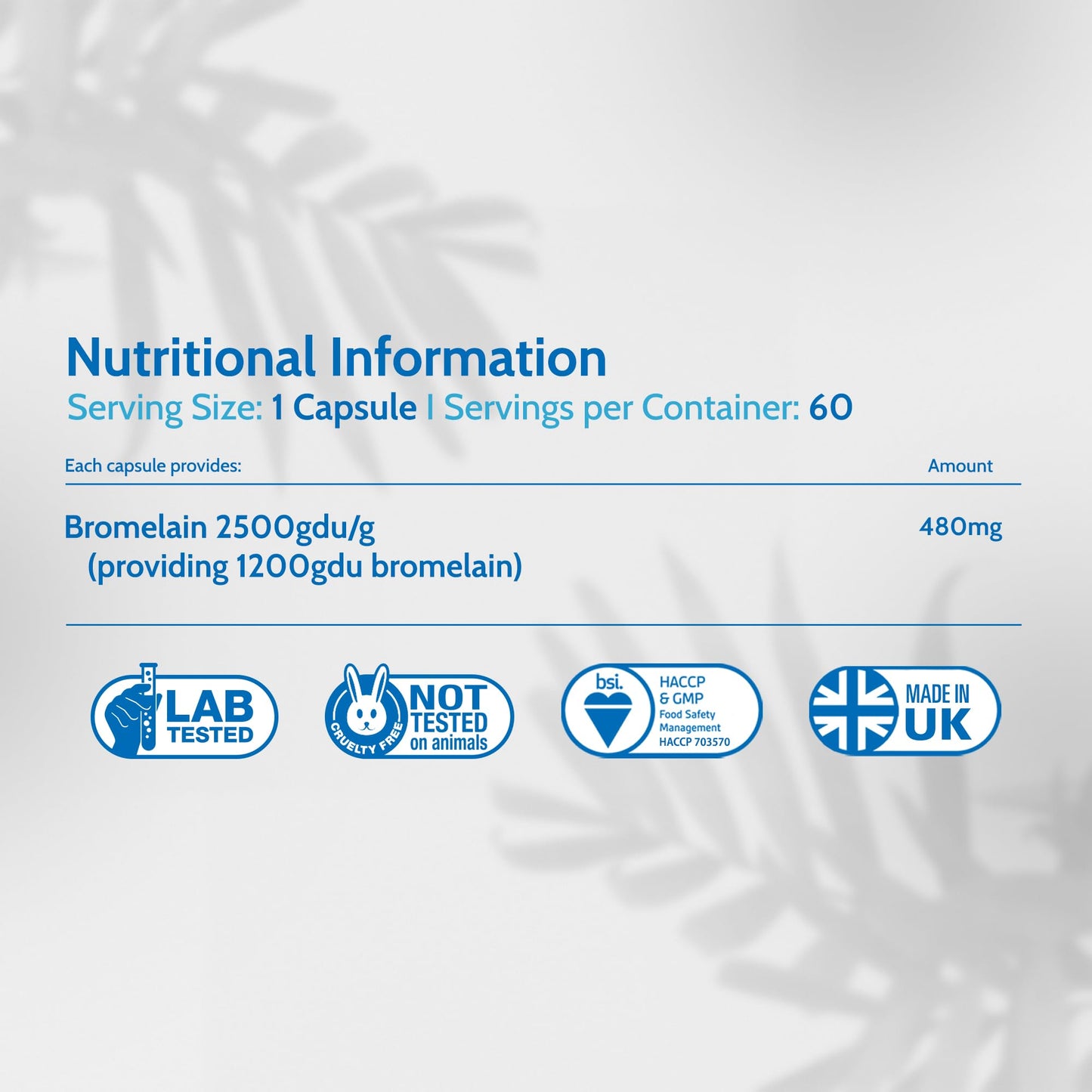 Bromelain 2500 GDU/g High Strength 1200 Units per Capsule for Inflammation, Swelling & Recovery 60 Vegan Capsules Pure Pineapple Enzyme Supplement for Digestion Support UK Made - Health4All