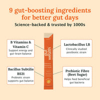 Gut Wealth 4 Week Orange Daily Sachets for Gut Health, Digestion & IBS