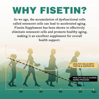 Liposomal Fisetin with Quercetin - High-Potency 1000mg Combo Antioxidant Supplement for Optimal Health - 60 Softgels Per Bottle (Pack of 1)