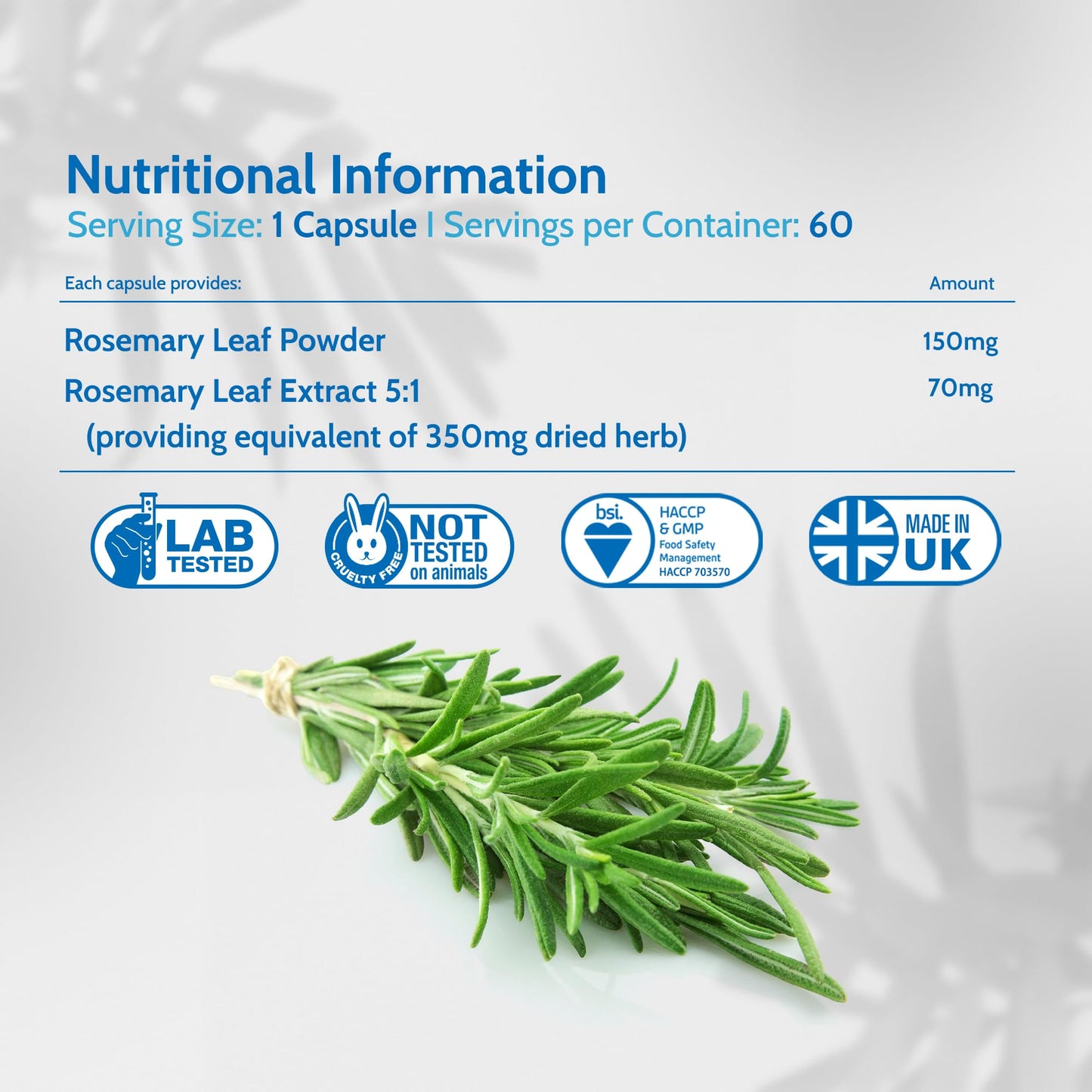 Health4All Rosemary 500mg 90 Capsules 3 Months Supply, Pure Natural Nootropic Supplement for Memory, Focus & Learning, High Strength Rosmarinus Officinalis Capsules (not Tablets nor Oil) | Made in UK