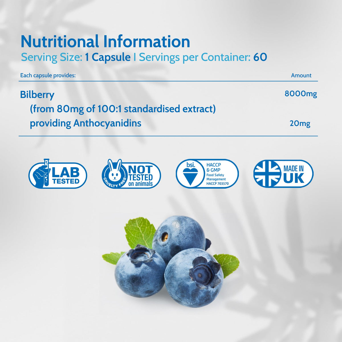 Health4All Bilberry Extract 8,000mg per Capsule, 60 Capsules 2 Months Supply, Pure High Strength Bilberry Eye Supplement, Antioxidant for Eye Health with Anthocyanidins, Easy to Swallow | Made in UK