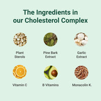 Theonia Cholesterol Complex Supplement - with Plant Sterols & Pine Bark Extract - Advanced Cholesterol Support - 90 Tablets/30 Servings - Non-GMO, Vegan