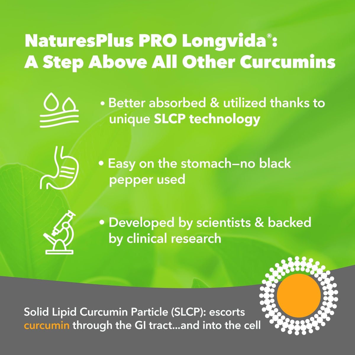 Nature's Plus NaturesPlus PRO Optimized Curcumin Longvida 500 mg Capsules - Superior Absorption Turmeric Extract Supplement - One a Day, Vegan, Gluten Free - 60 Capsules
