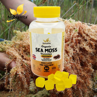 NooraVita Supplements & Skincare NooraVita Organic Sea Moss Gummies, 1420mg with Bladderwrack and Burdock Root, 90 Mango Flavour Gummies