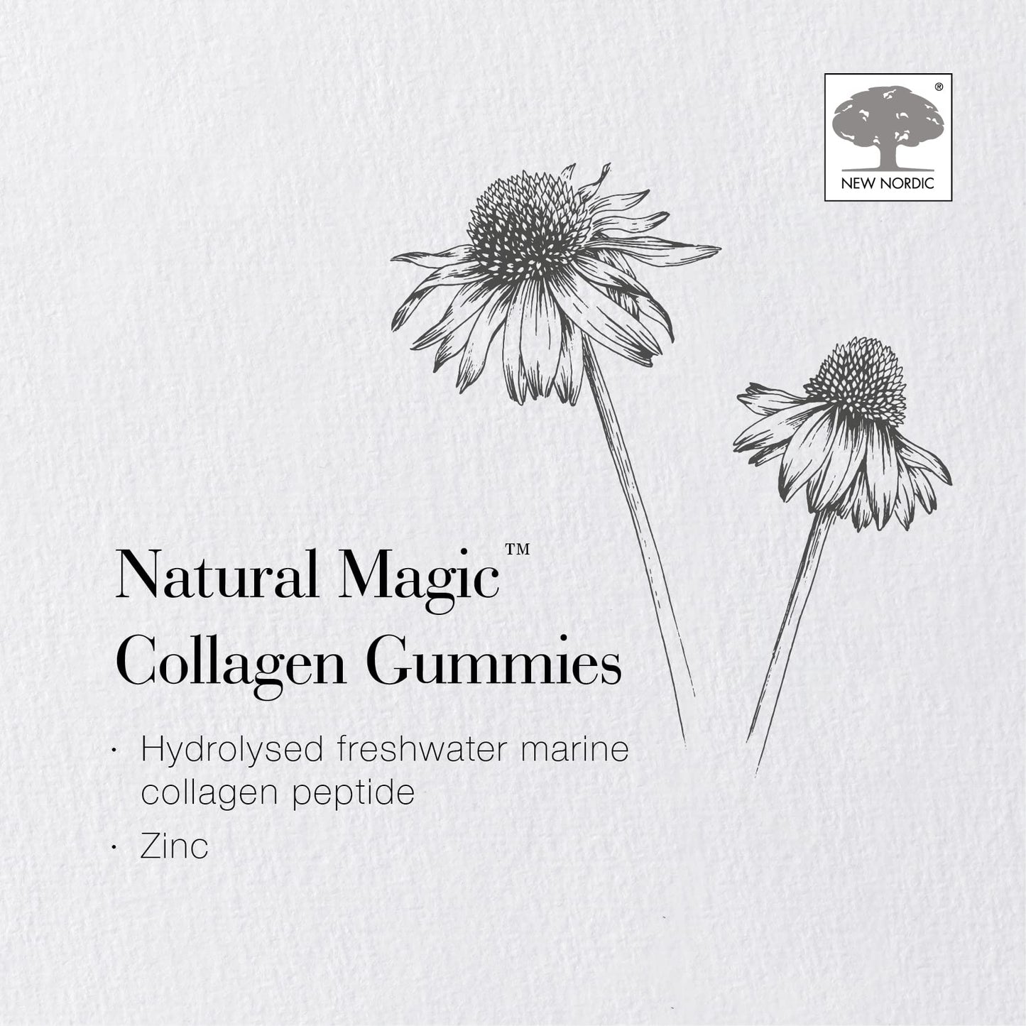 New Nordic Ltd New Nordic Natural Magic Collagen Gummies - Hydrolysed Freshwater Marine Collagen with Zinc - Improve Skin Elasticity and Reduce Wrinkles - Delicious Berry Flavour - 45 Gummies