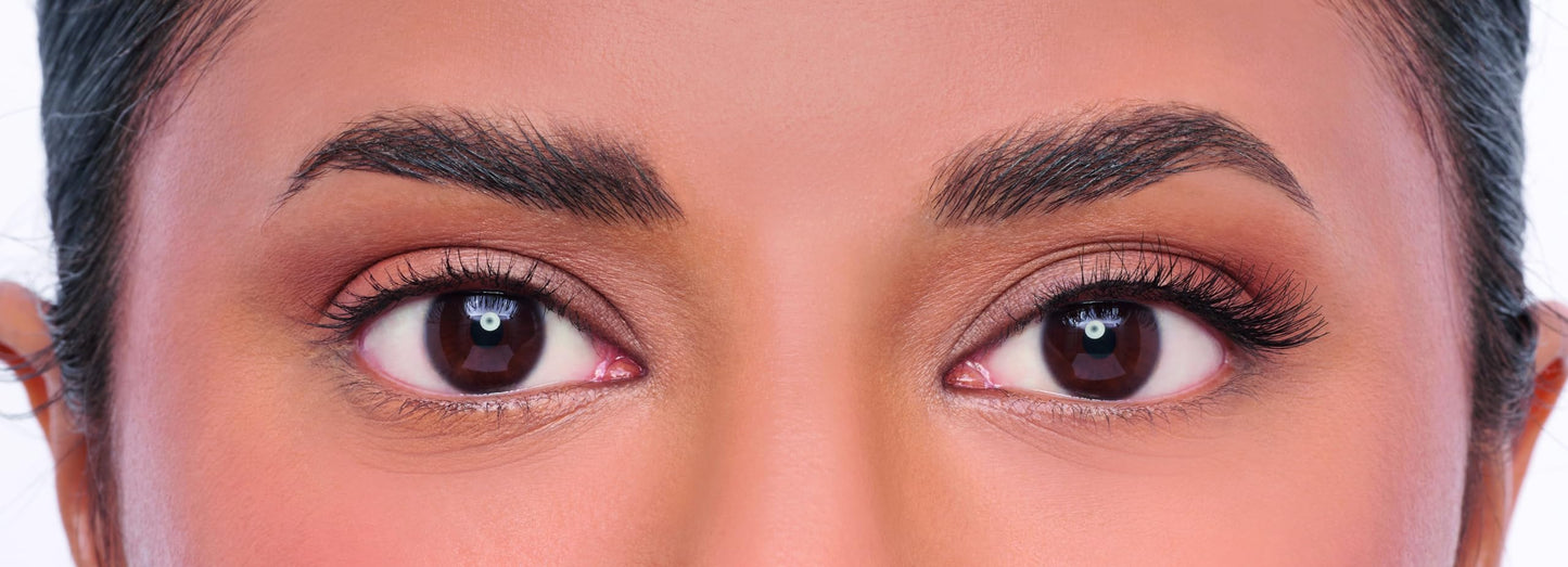 Eylure Lash Case No. 501