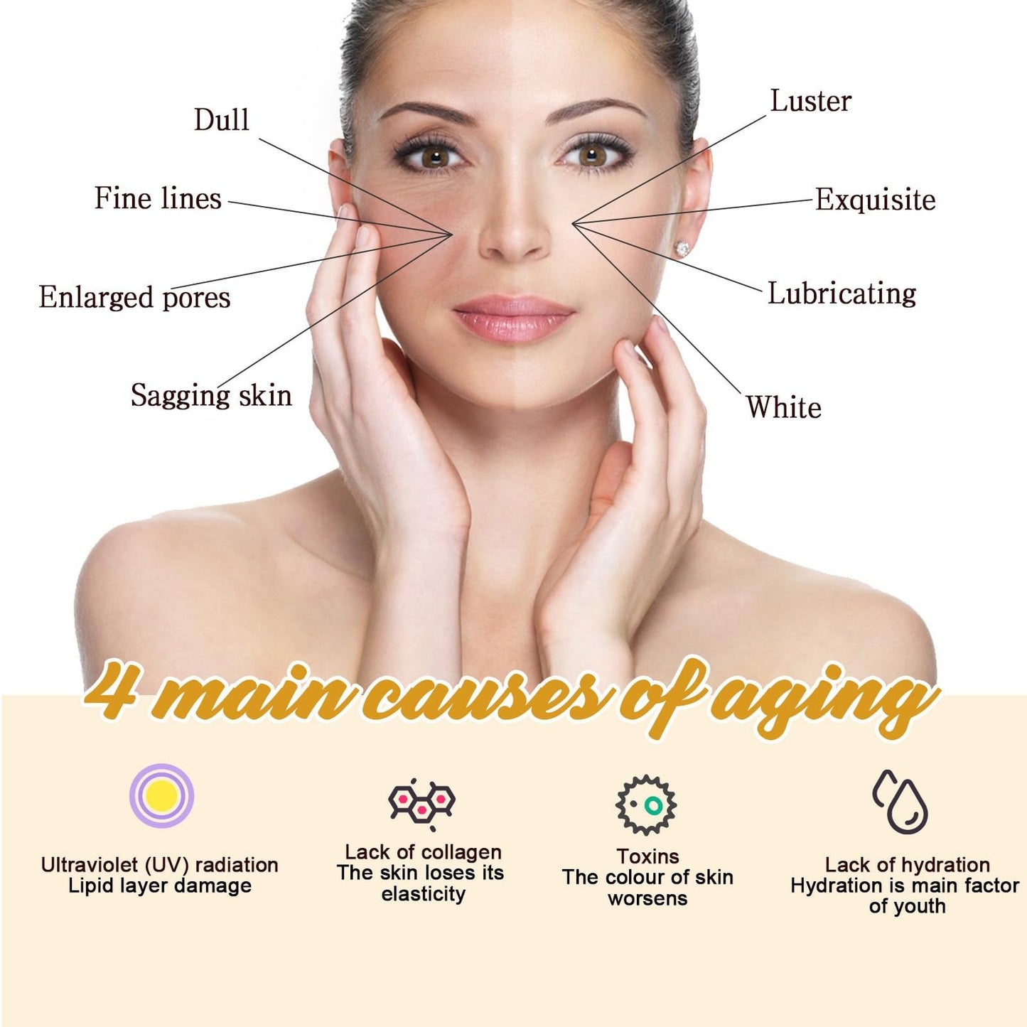 Ruojiar Bee Venom Wrinkle Removal Cream,Face Cream for Women,Bee Venom Anti-Wrinkle Cream,Skin Firming Cream,Bee Venom Skin Treatment Cream,Anti Wrinkle Firming Multi Purpose Cream,Skin Tightening Cream