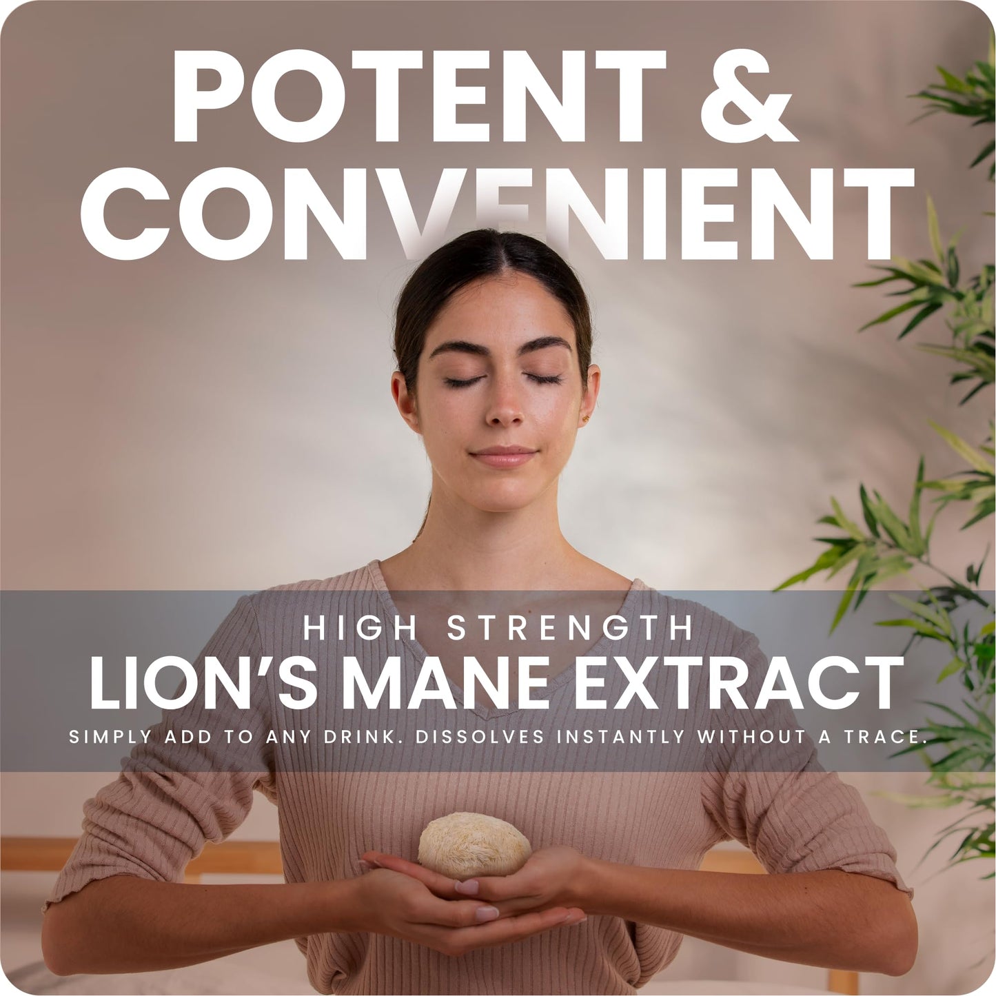 Kiihtu Lion's Mane Liquid Extract Tincture - 50ml | High Strength 2000mg Per Serving, Premium Mushroom Tincture Drops | Highest Bioavailability & Absorbency Supplement | UK