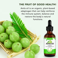 WeiWeiLa Amla Hair Oil, Amla Oil for Hair Growth, 100% Natural Indian Amla Hair Oil for Strong, Long & Thick Hair, Nourishes Scalp, Promotes Hair Growth, Controls Hair Fall, 60ML