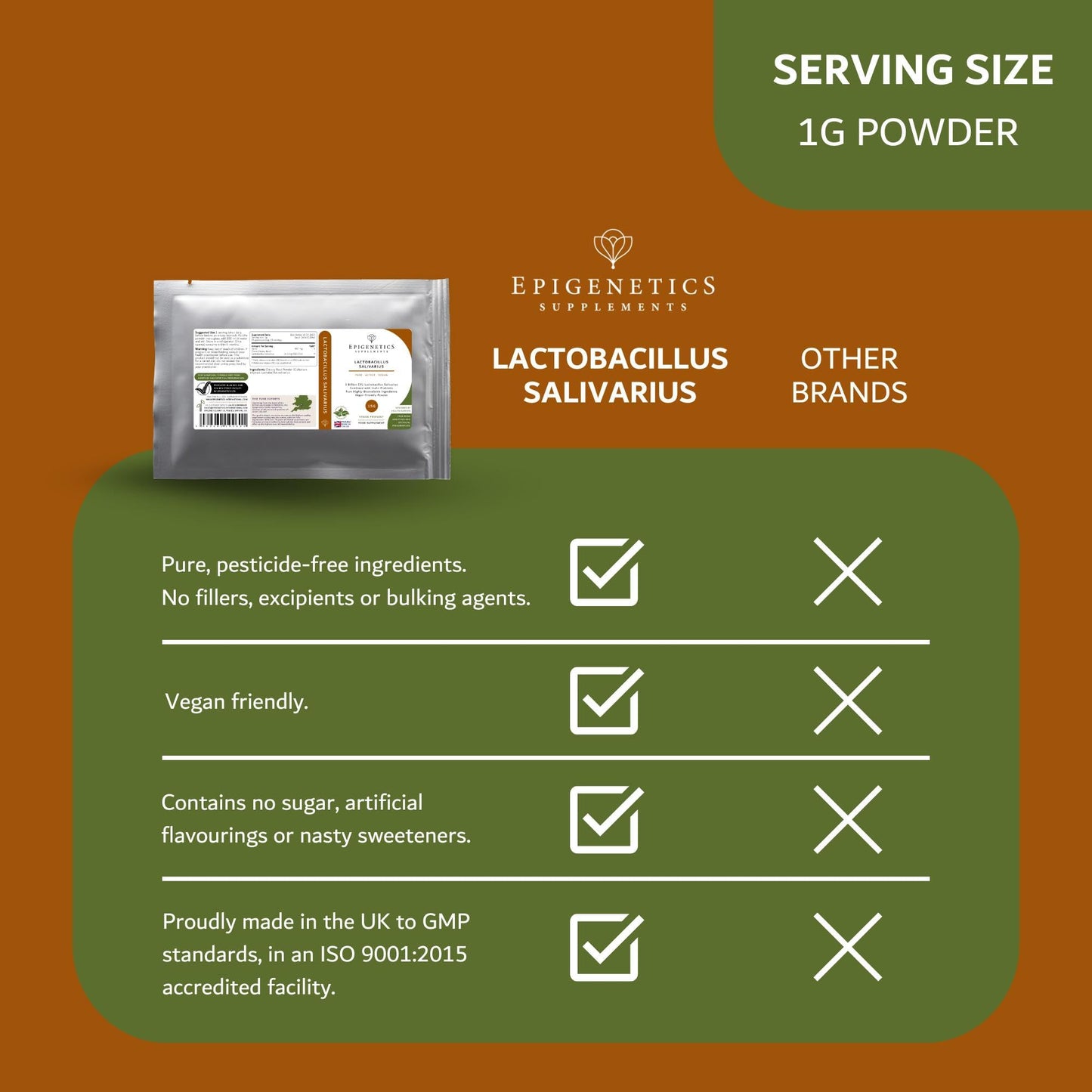 Epigenetics Lactobacillus Salivarius 15g | 5 Billion CFU Probiotic + Chicory Root Prebiotic (Inulin) | Vegan Friendly Powder for Gut Health | UK Made | 1g Daily (15 Servings)