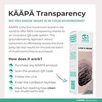 KAAPA Mushrooms KAAPA MUSHROOMS - Lion's Mane Mushroom Extract Tincture - Potent Ultrasonic Extraction | High Potency Lions Mane Supplement for Cognitive Function, Brain & Memory | Grown in Finland - 50ml