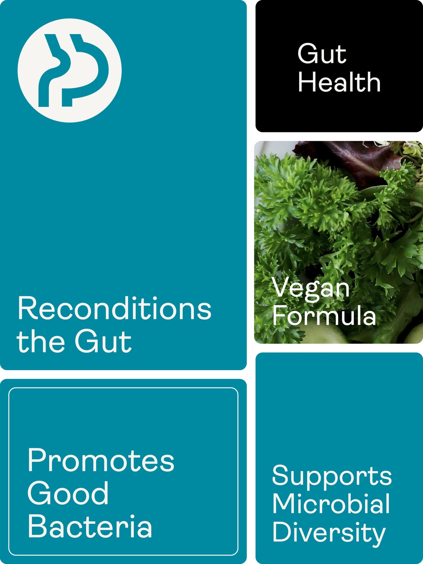 Youth & Earth Spore Probiotic 4 Billion CFU Count (60 Capsules)