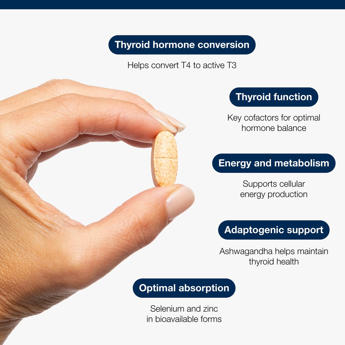 Metagenics Thyro Convert with Gum Guggul Resin - with Ashwagandha, Selenium & Zinc for Healthy Thyroid Hormone Conversion - 60 Capsules