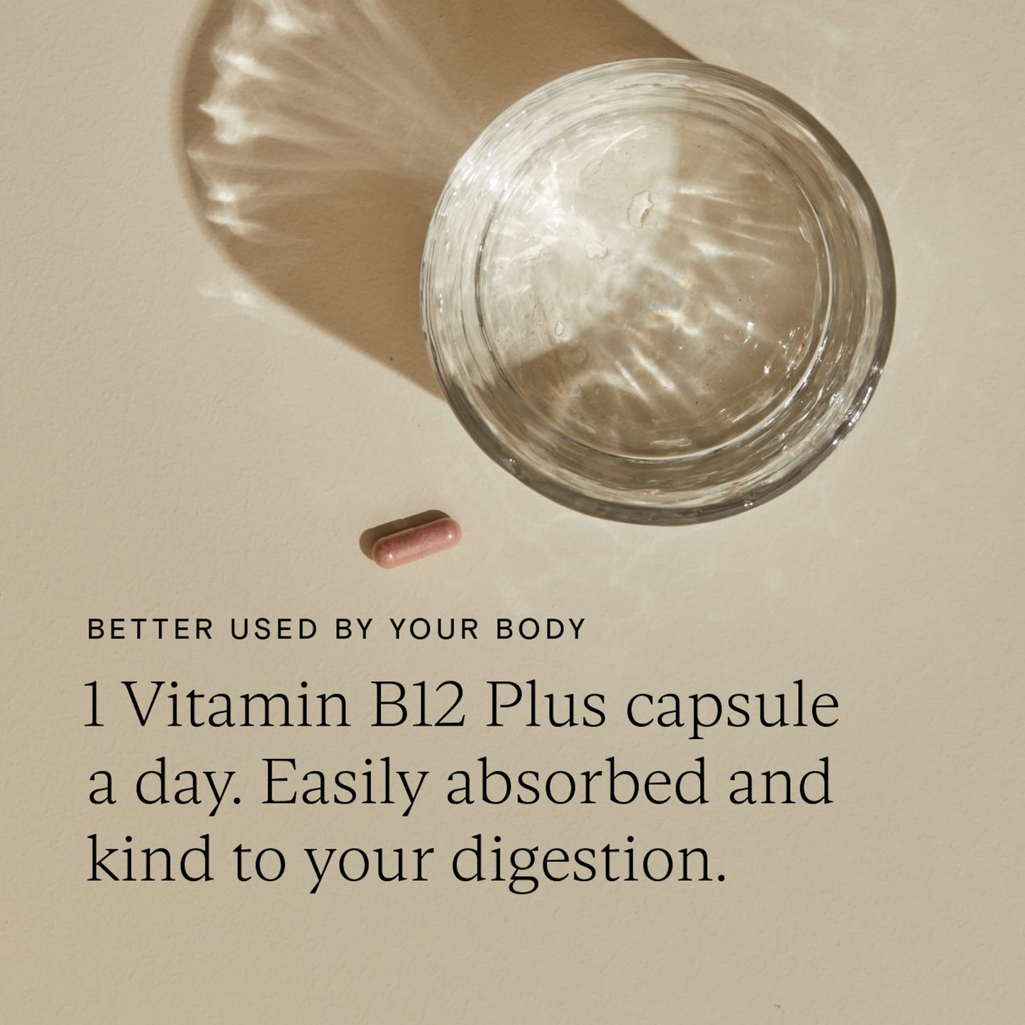 Wild Nutrition WILD NUTRITION Food-Grown Vitamin B12 Plus | Vitamin B12 Supplement with Beetroot Powder to Support Nervous System, Energy Levels & Energy Metabolism | 30 Capsules (Original)