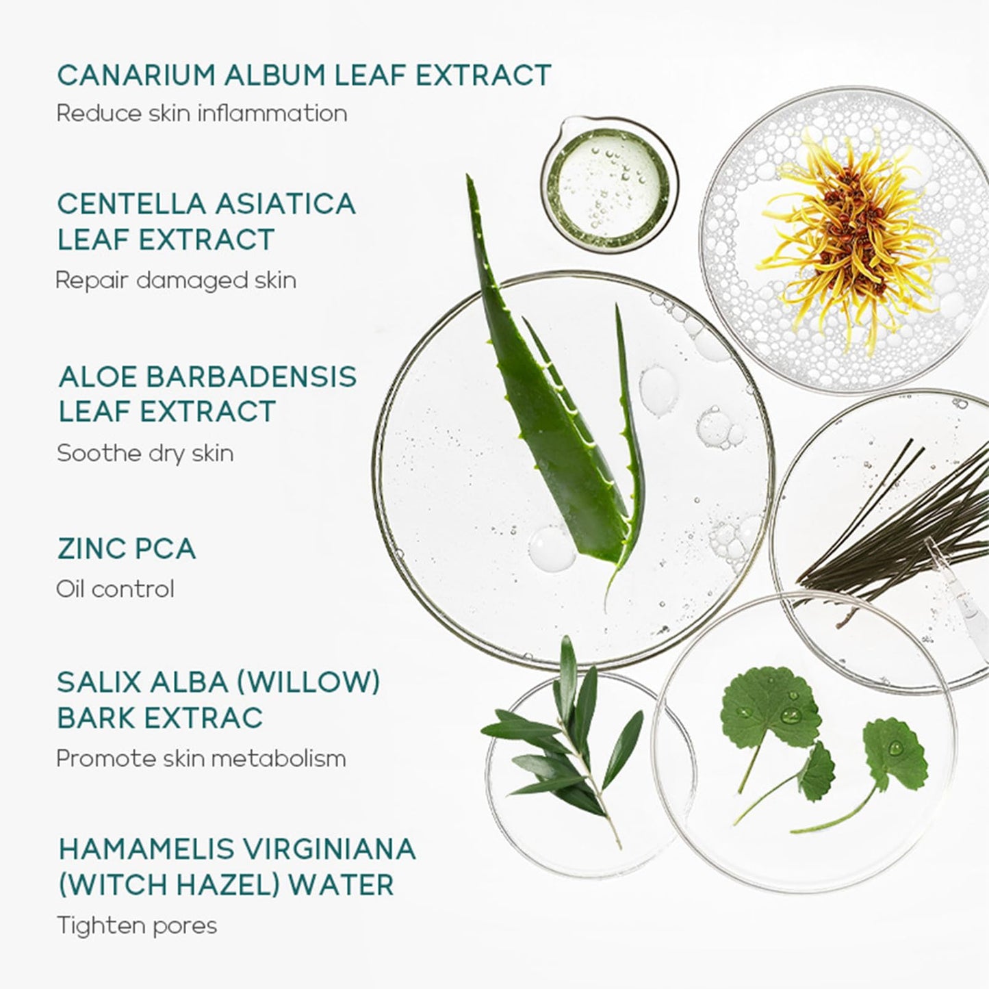 Skincare Set Gifts for Teenagers Girls - Tea Tree Skin Care Sets & Kits - Pamper Gifts for Women Includes Cleanser-Toner-Serum-Face Cream-Gel - Acne Remove Oil Control Facial Kit(5PCS)