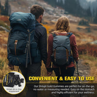 Shilajit Gummies for Men & Women Natural Himalayan Shilajit Gold Gummy, 3000mg, Rich in Ashwagandha and Gokshura with 85+ Minerals, Boost Your Vitality Health and Endurance, 60 Gummies