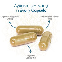 AYURVEDIQ WELLNESS Ayurvediq Wellness Organic Ashwagandha with Organic Black Pepper 650mg, 120 Capsules - Ashwagandha High Strength for Anxiety, Stress Relief for Adults, Better Sleep - Vegan Ayurvedic Products