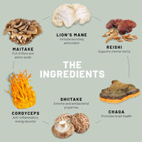Vegan Vitality Mushroom Complex 6 Lions Mane Mushroom Supplement 360 Capsules High Strength Vegan Supplement with Lions Mane, Reishi, Chaga Mushroom Powder, Shitake, Cordyceps & Maitake