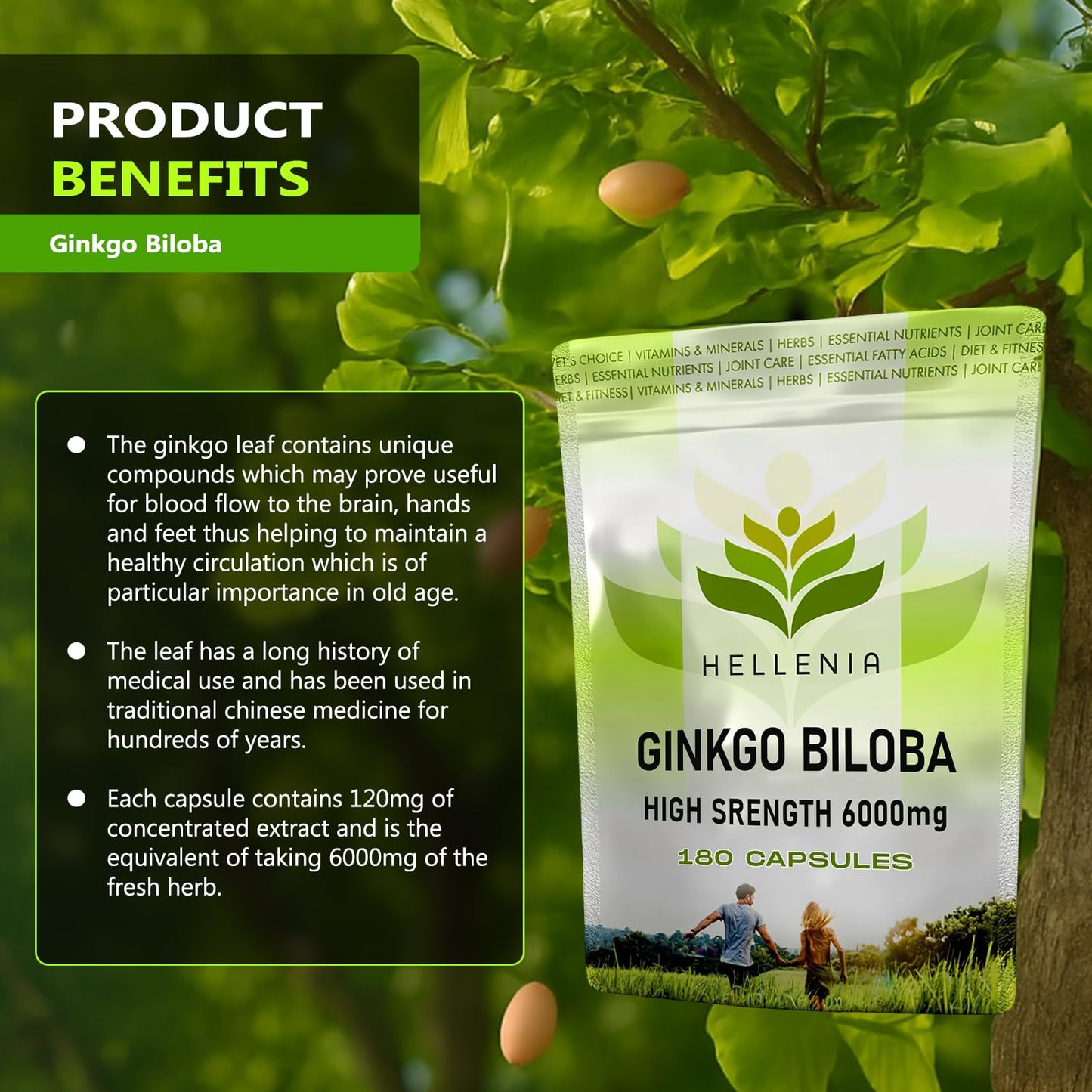Ginkgo Biloba High Strength Capsules | 6000mg Highly Dosed | 50:1 Extract - 180 Capsules | Ginkgo Biloba 6000mg | Suitable for Vegans - Manufactured in the UK by Hellenia
