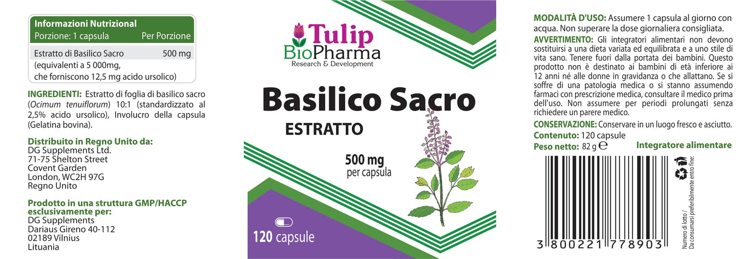 Tulip BioPharma Tulsi Holy Basil 5,000mg Equivalent | 120 Capsules | 4-Month Supply | 500mg 10:1 Ocimum Sanctum Extract | 3rd Party Lab Tested