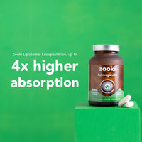 Zooki High Strength Liposomal Ashwagandha Capsules 500mg - Support Stress, Sleep, Brain Health (60 Capsules, 1 Month Supply)