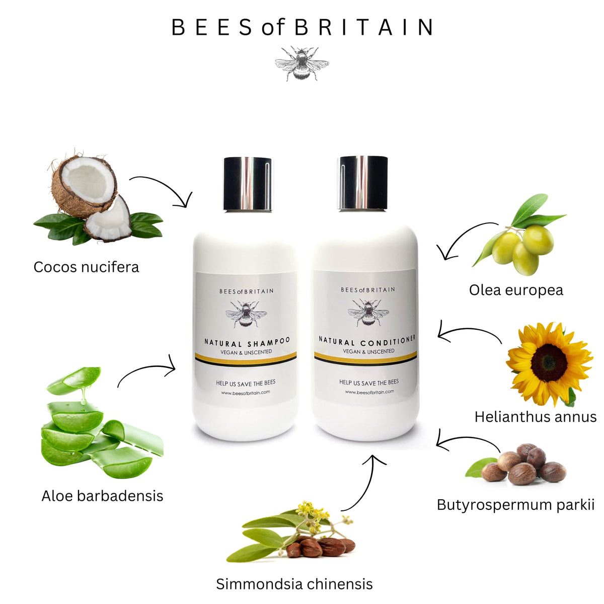 BEES of BRITAIN - 99% Natural Conditioner - Unscented. No Sulfates/Parabens/Silicones, pH 5.5, Sensitive Skin. We Donate 5% of our Profit to Save Bees + Pollinators. 250ml