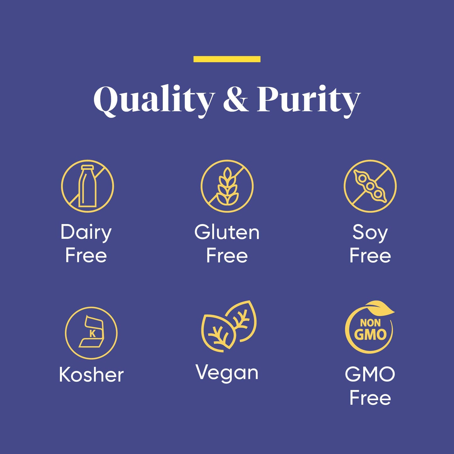 ENZYMEDICA - BeanAssist (30 Capsules) | Food Intolerance Digestive Enzymes Supplements | Digestive Enzymes Blend for Beans and Legumes, Nutrient Supplements, Gut Health Supplement, Vegan, Dairy Free