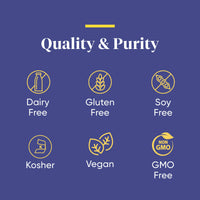 ENZYMEDICA - BeanAssist (30 Capsules) | Food Intolerance Digestive Enzymes Supplements | Digestive Enzymes Blend for Beans and Legumes, Nutrient Supplements, Gut Health Supplement, Vegan, Dairy Free