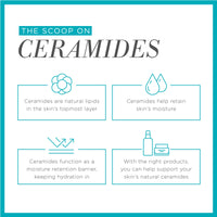 Curel Hydrating Repair Eye Cream for Dry, Sensitive Skin, 25 g