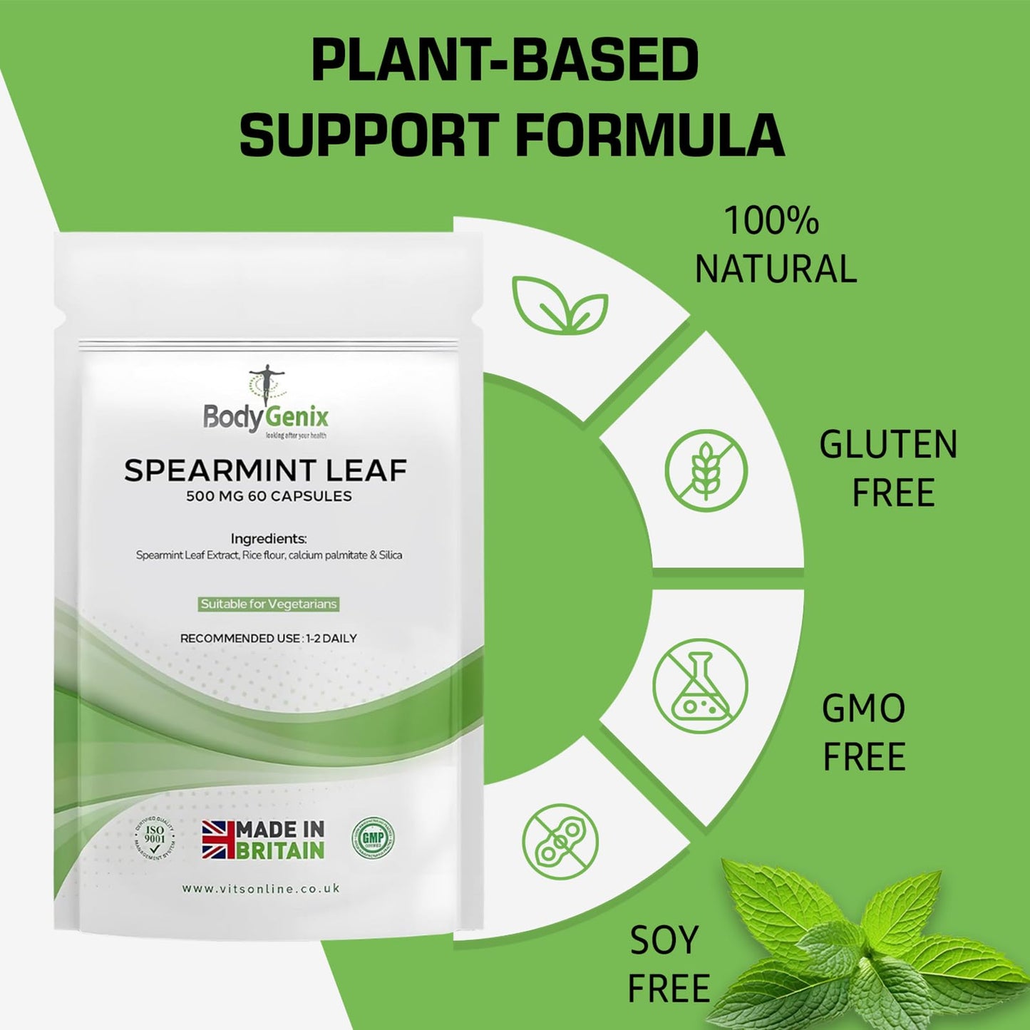 Bodygenix Spearmint Leaf Capsules - 500mg Hormonal Balance Digestive Health Fatigue & Stress Relief Support Antioxidant Formula Natural Food Supplement - 60 Capsules 2 Month Supply