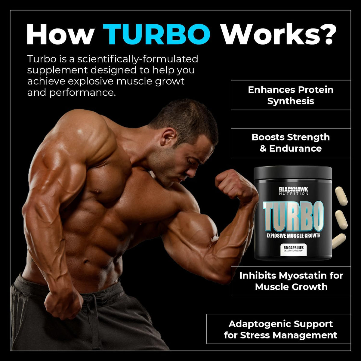 Blackhawk Nutrition Turbo Muscle Support Formula with Turkesterone & Beta Ecdysterone - Ideal Muscle Mass Synthesis to Improve Strength & Muscle Development – 60 Capsules Pack