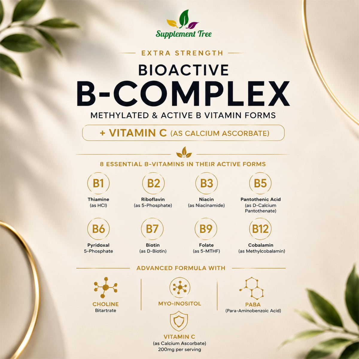 Supplement Tree Bioactive B Complex with Vitamin C – Methylated B12, Folate (5-MTHF), B6 P5P, PABA, Choline, Inositol – High Strength, 90 Vegan Capsules – Non-GMO