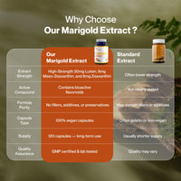 Hepatica Lutein | 30 mg, Zeaxanthin 6 mg & Meso-Zeaxanthin 9 mg | from Marigold Extract 300 mg | 120 Vegan Capsules | Tagetes erecta | GMP & 3rd Party Lab Tested