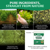 HANDPICK, Moringa Powder (500g/17.6oz) Pure Moringa Oleifera/Moringa Leaves | Resealable Zip Lock Pouch | Perfect for Cooking, Smoothies, Lattes & Moringa Tea