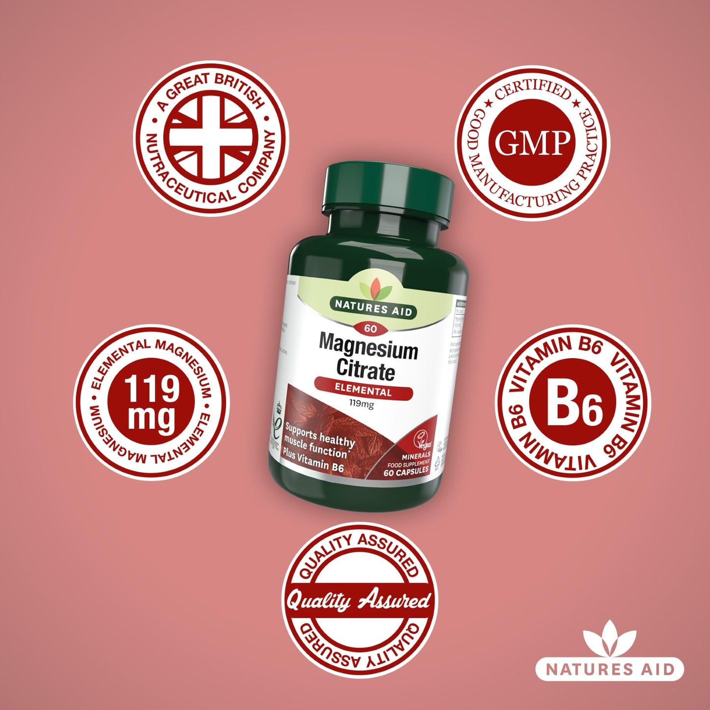 Natures Aid Magnesium Citrate 750mg with Vitamin B6 – High Absorption Vegan Capsules – Supports Muscle, Nerve & Bone Health and Stress Relief – Non-GMO, Gluten-Free – 60 Capsules