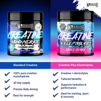 Warrior Flavoured Creatine Monohydrate Powder 300g (90 Servings) – Creatine Powder Drink, Creatine for Performance, Strength & Recovery (Not Creatine Gummies or Tablets) – Blue Razz