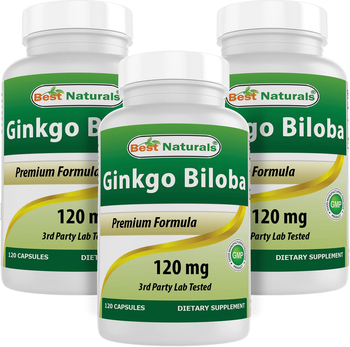 Best Naturals, Ginkgo Biloba Extract - Double Strength Ginkgo Biloba, 120mg, 120 Capsules (120 Count (Pack of 3))